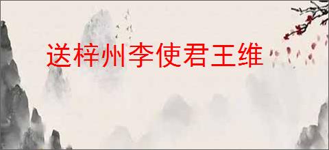 送梓州李使君王维