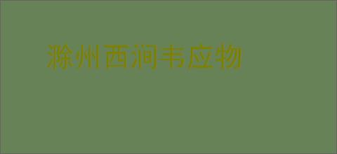 滁州西涧韦应物