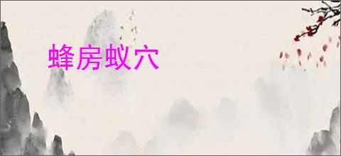 蜂房蚁穴