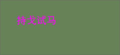 持戈试马