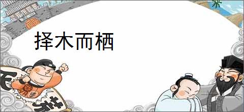 择木而栖