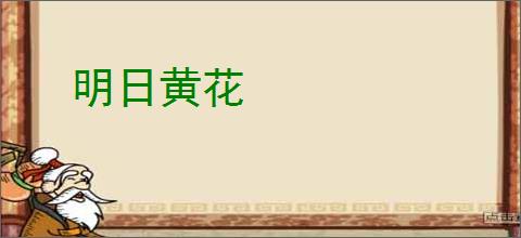 明日黄花