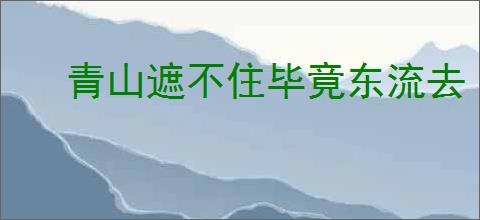 青山遮不住毕竟东流去
