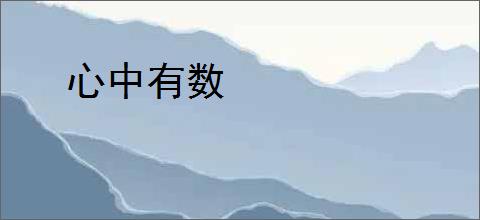 心中有数