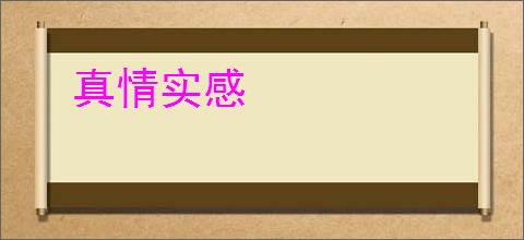真情实感