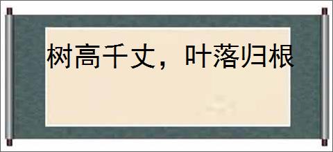 树高千丈，叶落归根