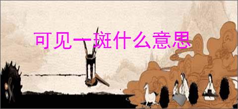可见一斑什么意思