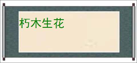 朽木生花