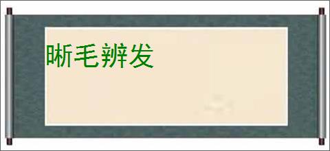 晰毛辨发
