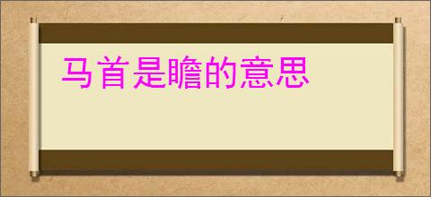 马首是瞻的意思