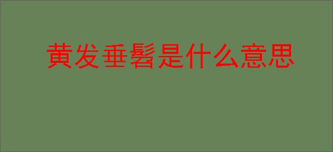 黄发垂髫是什么意思
