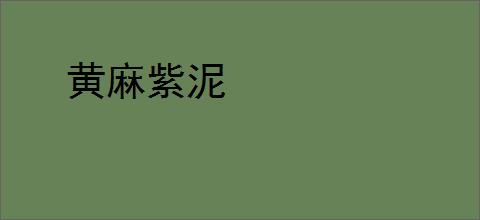 黄麻紫泥