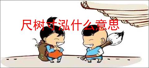 尺树寸泓什么意思