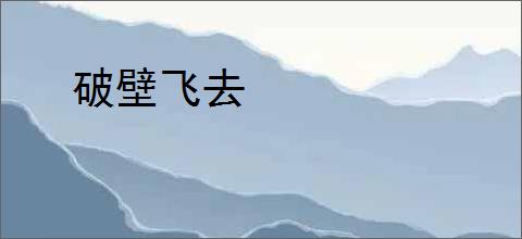 破壁飞去