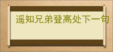 遥知兄弟登高处下一句